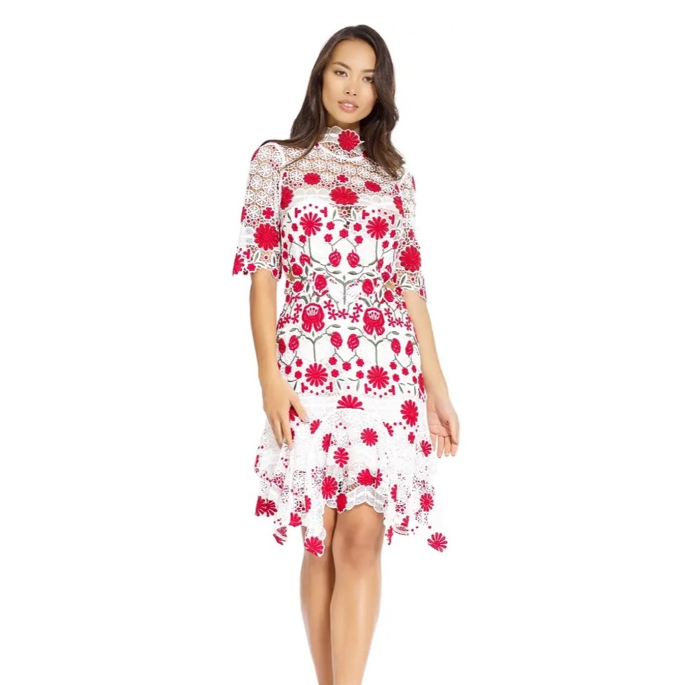 THURLEY LACE ENGLISH ROSE DRESS PRINT SIZE 12